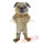 Low Cost Pug Dog Mascot Costume