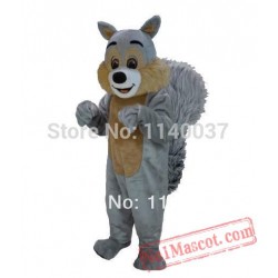 Grey Squirrel Mascot Costume