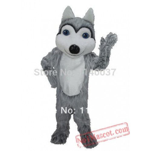 Friendly Husky Mascot Costume