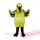 Cute Green Hummingbird Mascot Costume