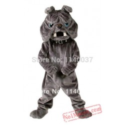 Bulldog Mascot Costume