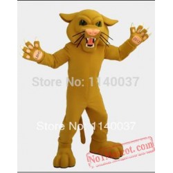 Mascot Gloden Bearcat Mascot Costume